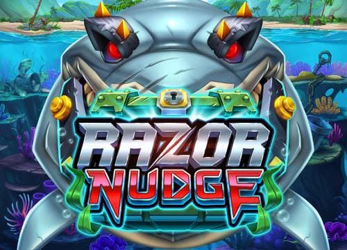 PHRazorNudge