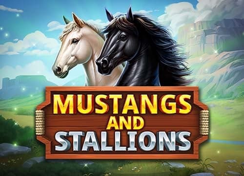 Mustang and Stallions
