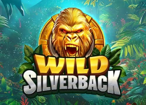 RGWildSilverback