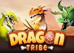 Dragon Tribe
