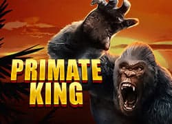 Primate King
