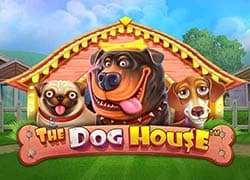 The Dog House