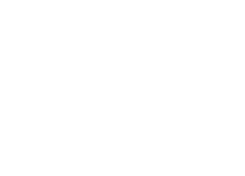 FlaxCasino logotyp